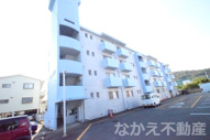徳島市津田本町３丁目のマンションの画像