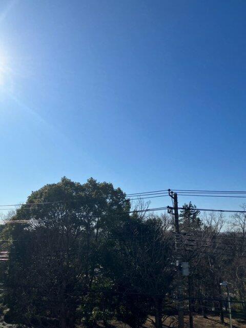 山手第３コーポラスの展望