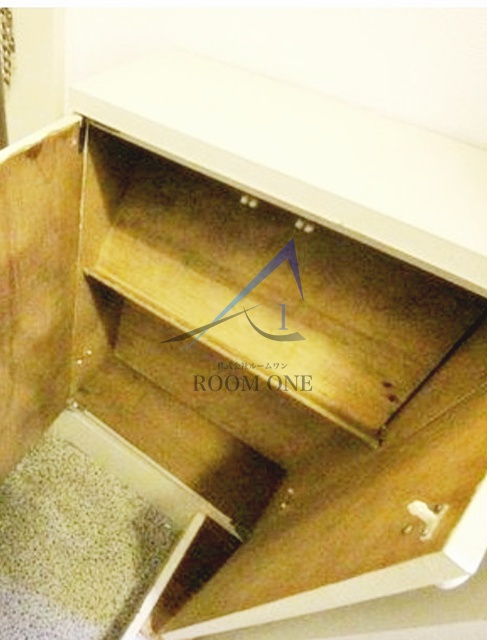 ライフピアカノンの収納|シューズボックスです。