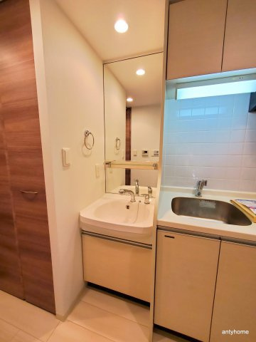 プレサンス難波幸町 仲介手数料無料の洗面所