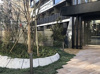 【庭】ザ・パークハビオ木場 