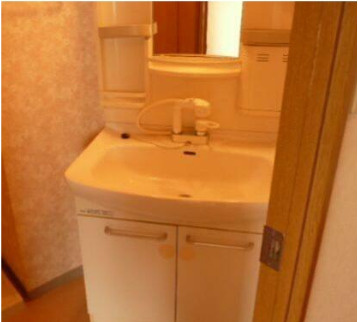 メゾン・エルーセラの洗面所