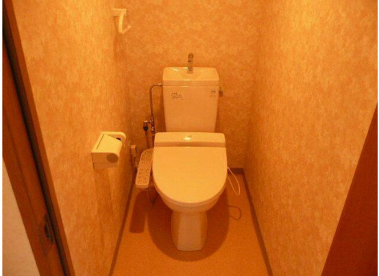 メゾン・エルーセラのトイレ