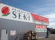 【周辺】 | レオネクストグリーチネ