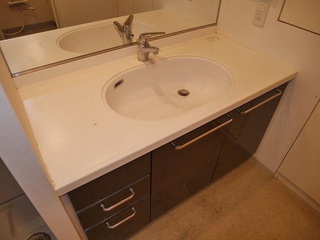 シャリエ川口本町グリーンマークスの洗面所