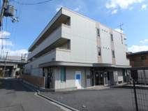 Perlaの画像
