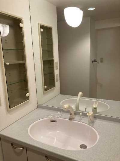 メゾン・ド・オーキッドの洗面所