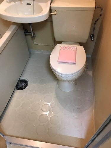 ルイシャトレ中之島のトイレ|３点ユニットバス（トイレ）※前回募集時／２０１８年４月の写真