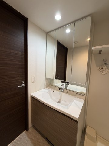 GENOVIA東向島skygardenの洗面所