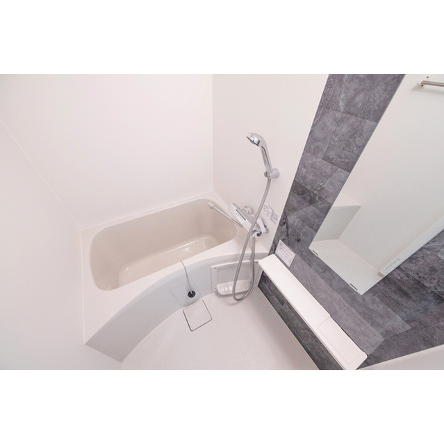 エスリード難波ザ・メゾンの浴室