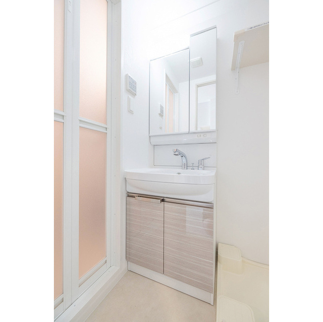 エスリード難波ザ・メゾンの洗面所