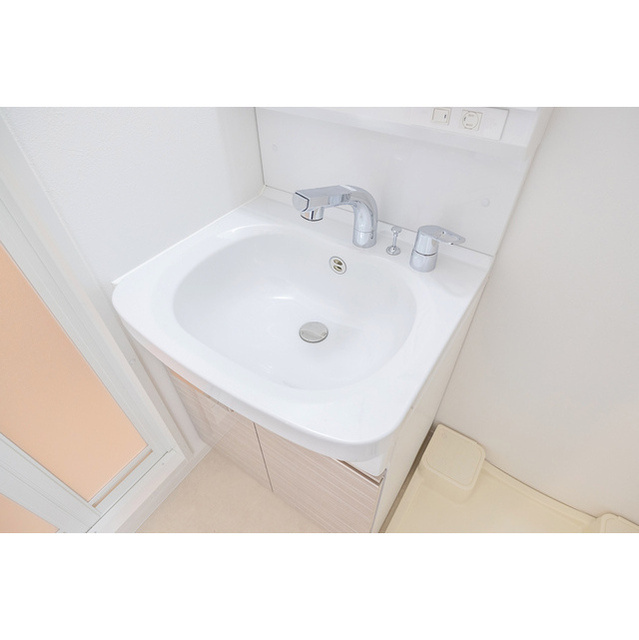 エスリード難波ザ・メゾンの洗面所