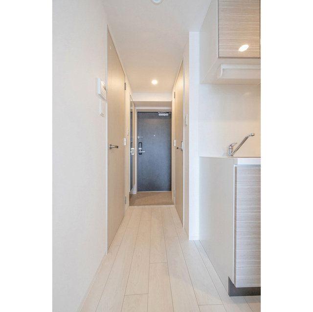 エスリード難波ザ・メゾンの玄関