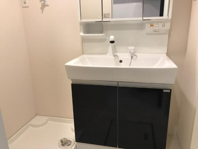 パークサイド大丸の洗面所|洗面