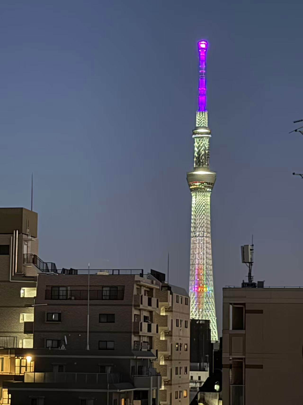 LINX AVENIRの展望