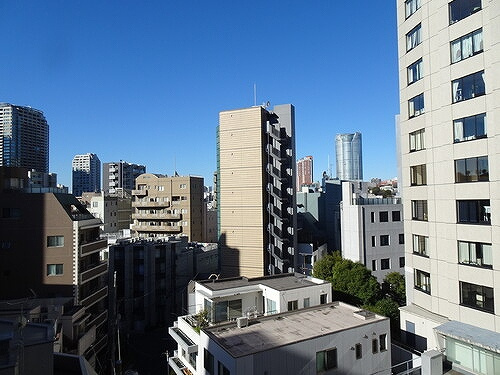 ライオンズマンション麻布のその他|バルコニーからの眺望　※2023年1月撮影