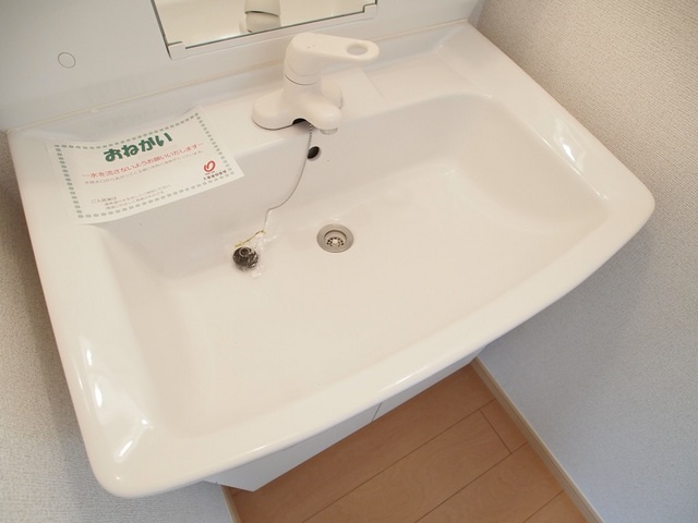 エスポワール畠田の洗面所