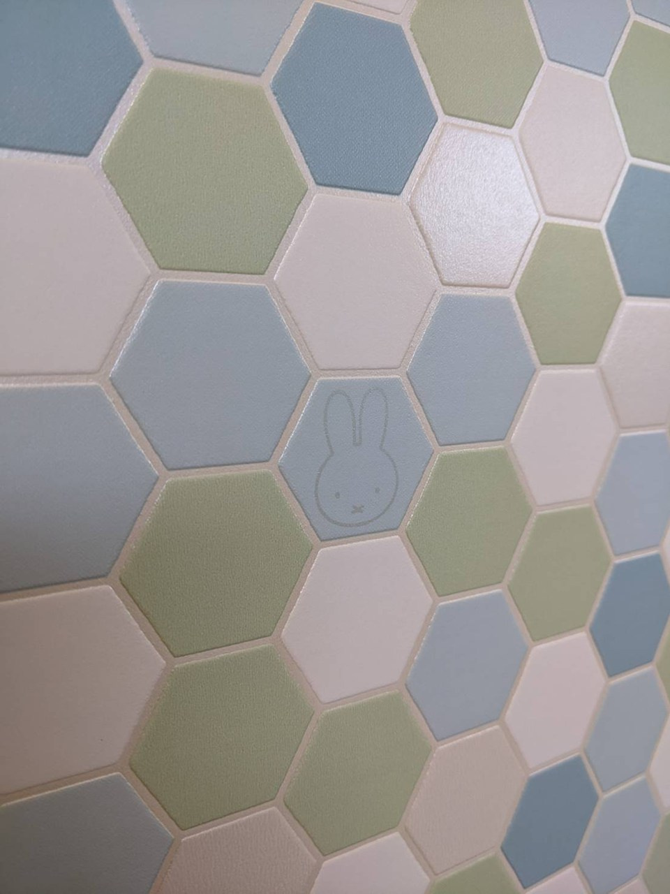 八戸市長苗代内舟渡　B棟の洋室|落ち着いたアクセントクロスが印象的な主寝室