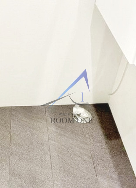 ＰＲＯＴＯ大井町Ⅰの設備|洗濯機置場です。