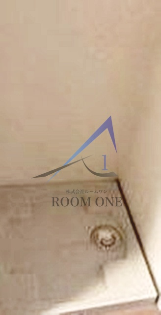 デア・ケーニッヒの設備|洗濯機置場です。