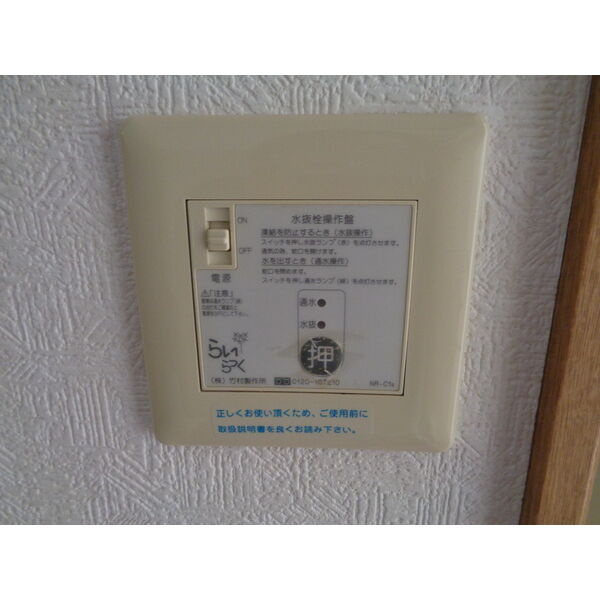 カトレーンIのその他