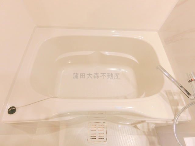 ザ・ライオンズフォーシア蒲田の浴室