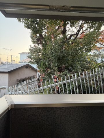 リッチライフ松本STの展望
