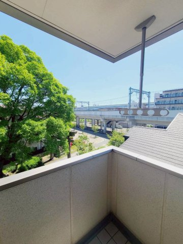 ショコラ甲子園の展望