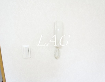 【セキュリティ】 | リリックコートスカイⅡ