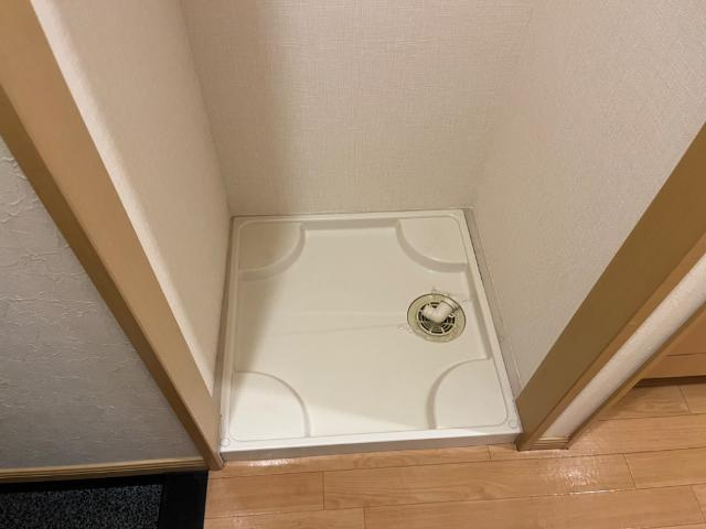 Ｓｕｎｎｙ　Ｈｉｌｌｓ（サニーヒルズ）のその他|洗濯機置き場