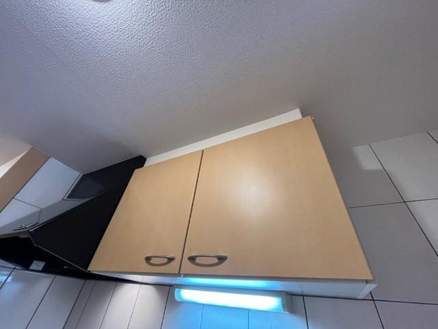 Ｓｕｎｎｙ　Ｈｉｌｌｓ（サニーヒルズ）のキッチン|収納