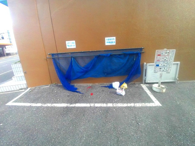 セラーン朝霧のその他