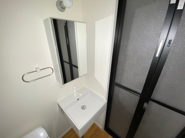 TOYO-ICHI APARTMENT.の洗面所