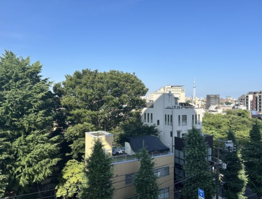 【展望】