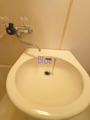 【洗面所】 | メゾンフラワー