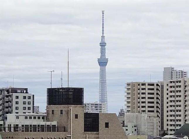 【展望】
