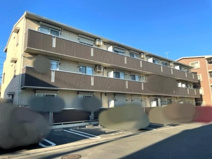 ピュアロータス Ⅱの画像