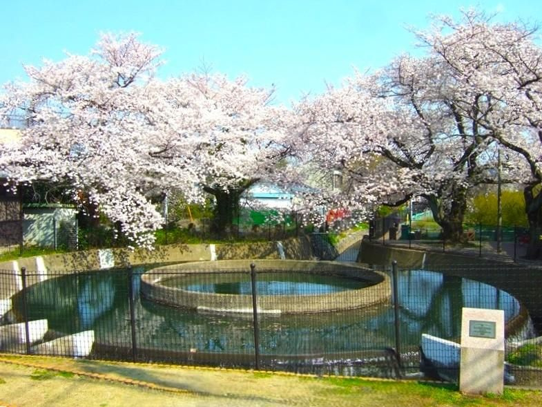 エル・サフィーロ２５のその他