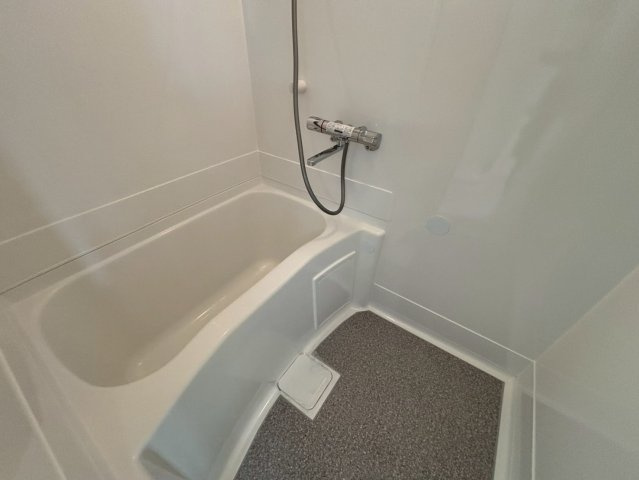 Ｐａｌａｉｓ　ルミエール( 近畿大学 一人暮らし )の浴室