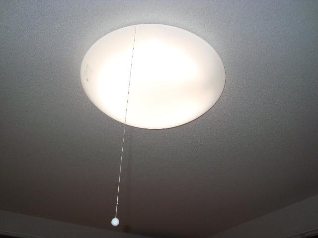 ホワイトガーデンのその他|照明