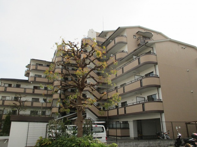 【外観】 | テラート１ | 外壁タイル張りのお洒落なマンションです