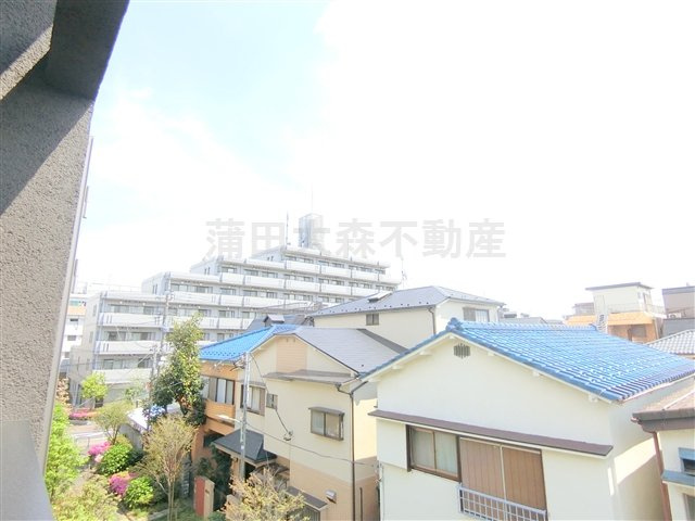 グリーンテラス蒲田の展望|展望　日当たり良好