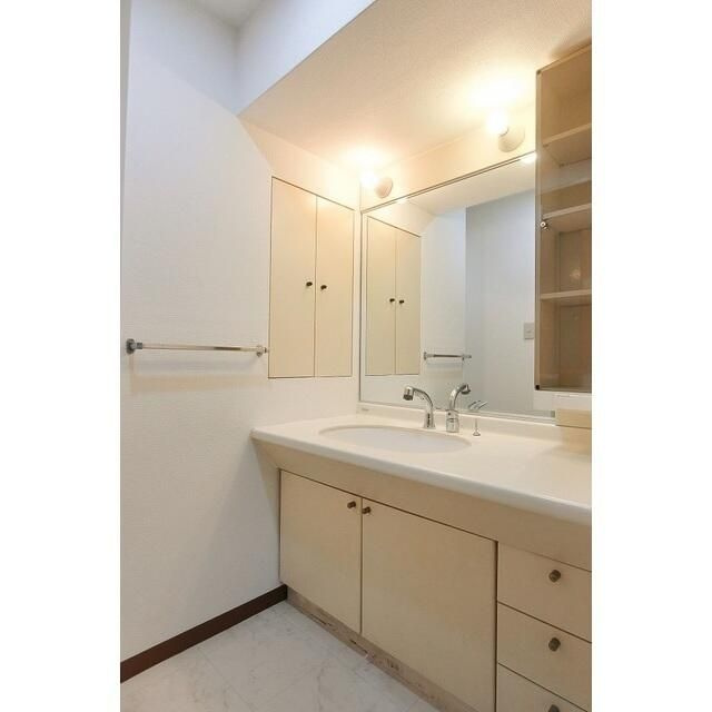 スカイプラザ・ユーカリが丘ウエストタワーの独立洗面台