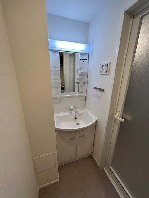 ハーモニーレジデンス大塚山手インサイドの洗面所