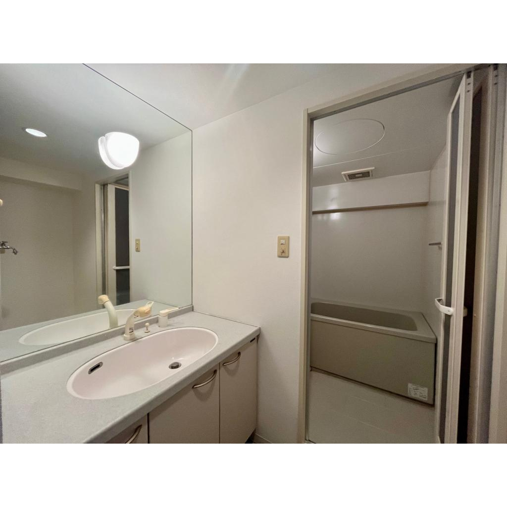 メゾン・ド・オーキッドの洗面所