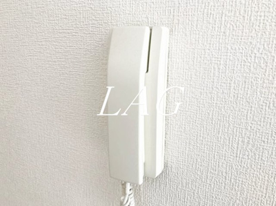 【セキュリティ】 | ルビナス板橋 | インターフォンです。