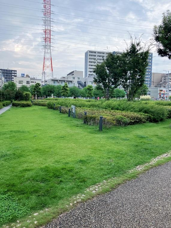 川崎サイトシティⅡ番館の庭