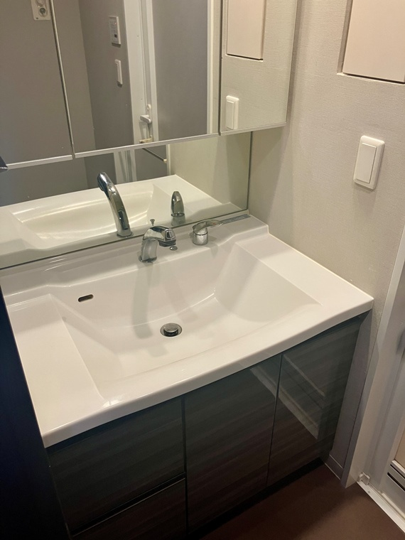 レーベン新川崎デュアリズムの洗面所