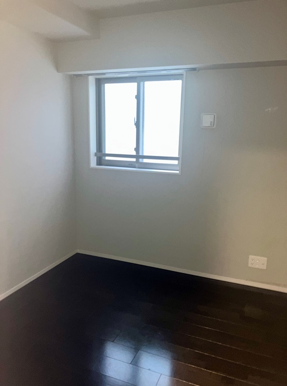 レーベン新川崎デュアリズムのその他