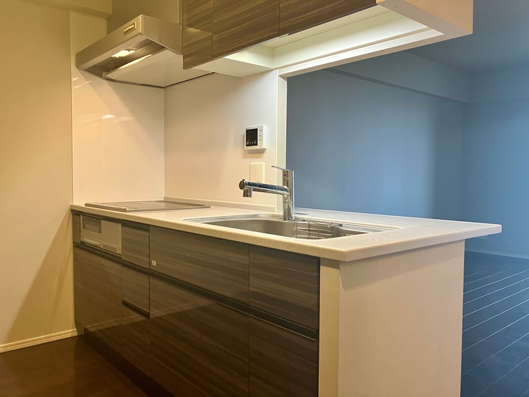 レーベン新川崎デュアリズムのキッチン